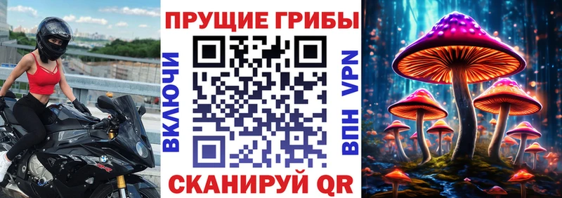 дарнет шоп  OMG ТОР  Галлюциногенные грибы Magic Shrooms  Сосногорск 